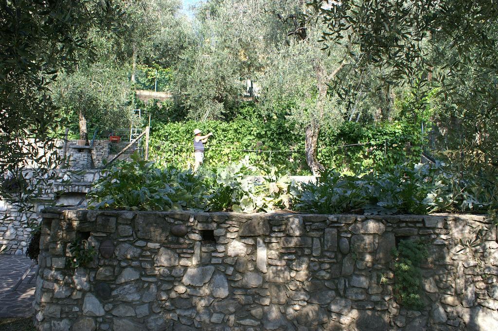 Hotel Riviera Panoramic Green Resort Limone sul Garda Exteriér fotografie