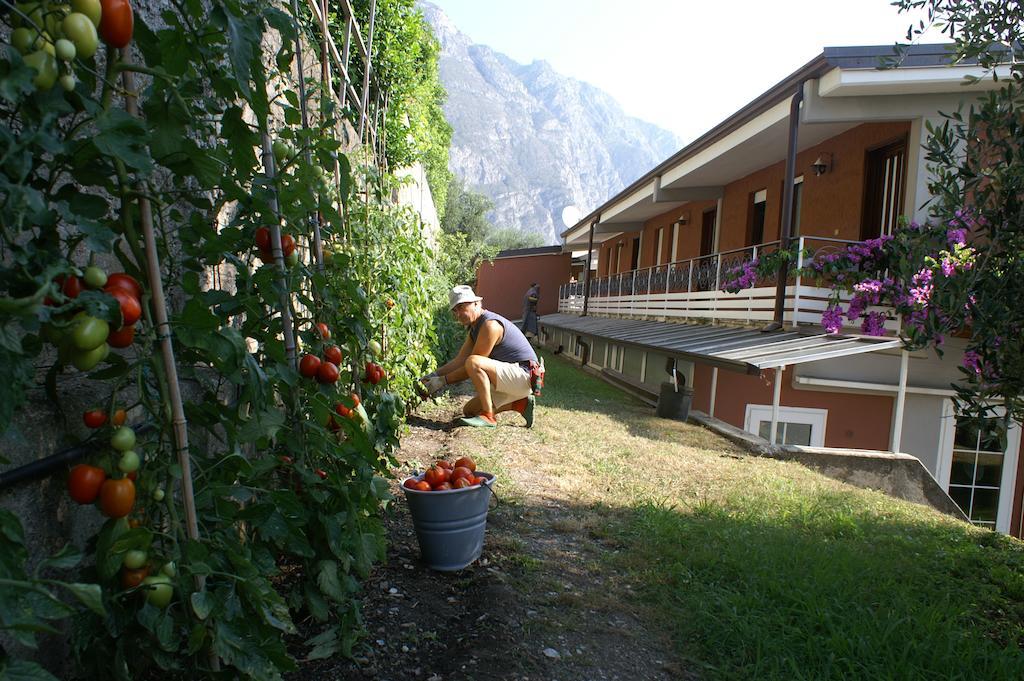 Hotel Riviera Panoramic Green Resort Limone sul Garda Exteriér fotografie